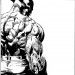 WOLVERINE: ORIGINS art by Mike Deodato